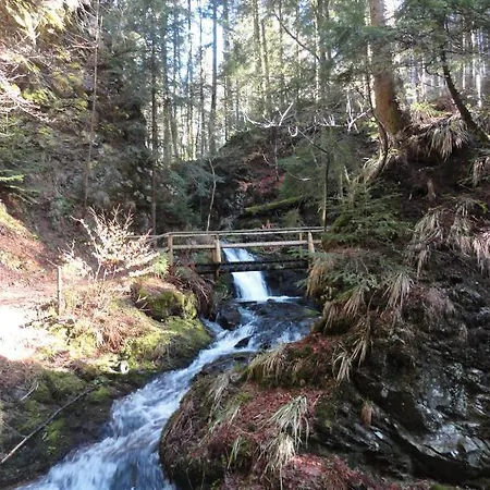 12 In Kupferkanne מלון דירות טודמוס