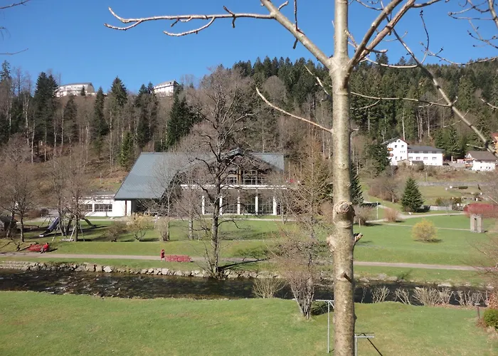 库菲卡内套间12